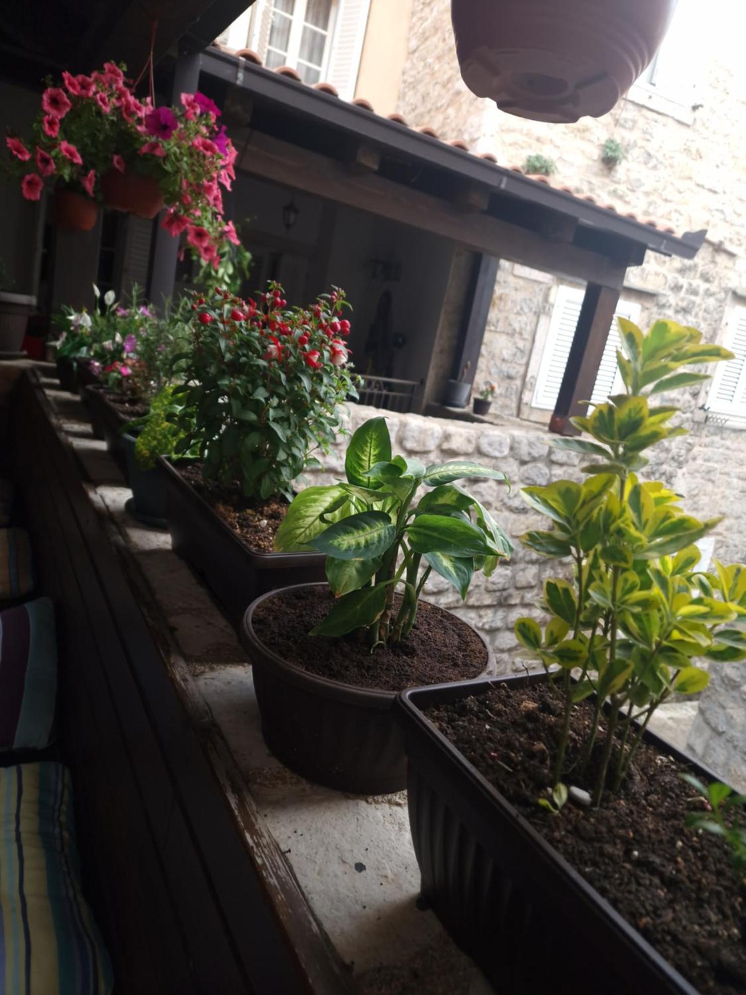 Rooms Dana Old Town Μπούντβα Εξωτερικό φωτογραφία